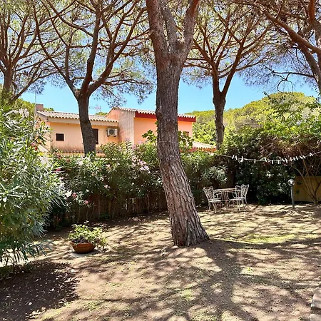 Blue Shutters By The