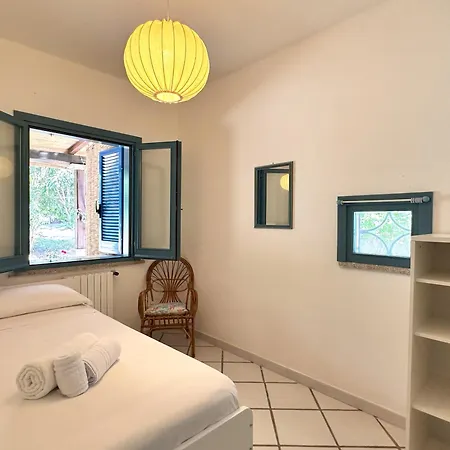 Blue Shutters By The *