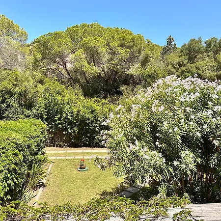 Semesterbostad Blue Shutters By The Pula