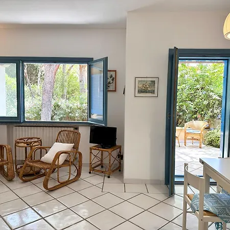 Blue Shutters By The *