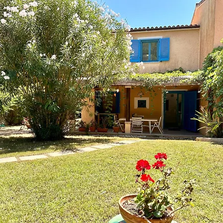 Blue Shutters By The