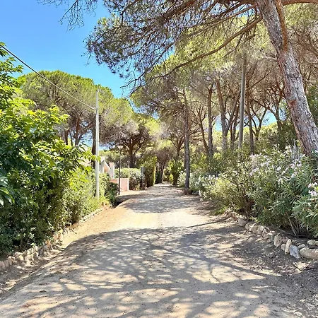 Blue Shutters By The *