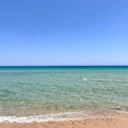 Blue Shutters By The