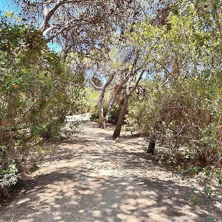 Vakantiehuis Blue Shutters By The