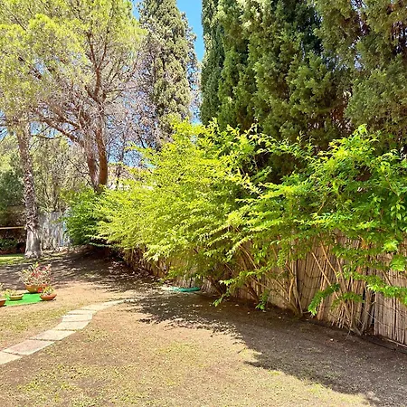 Blue Shutters By The *