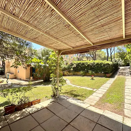 Blue Shutters By The *