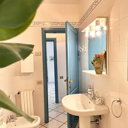 Blue Shutters By The