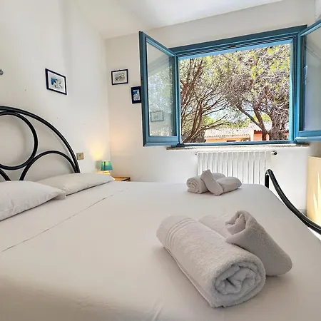 Blue Shutters By The *