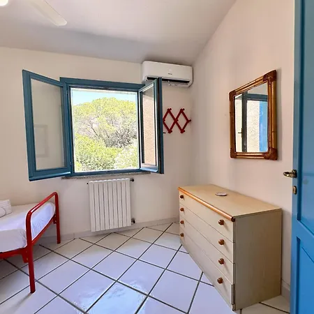 Blue Shutters By The