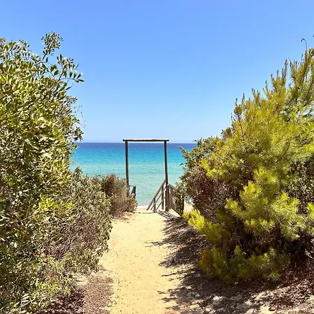 Blue Shutters By The *